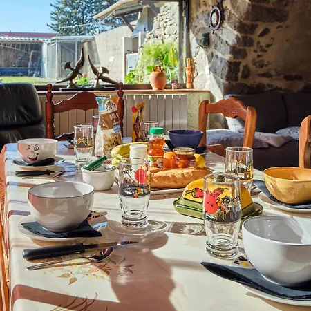 Jardin Ste Anne Appartement Carcassonne